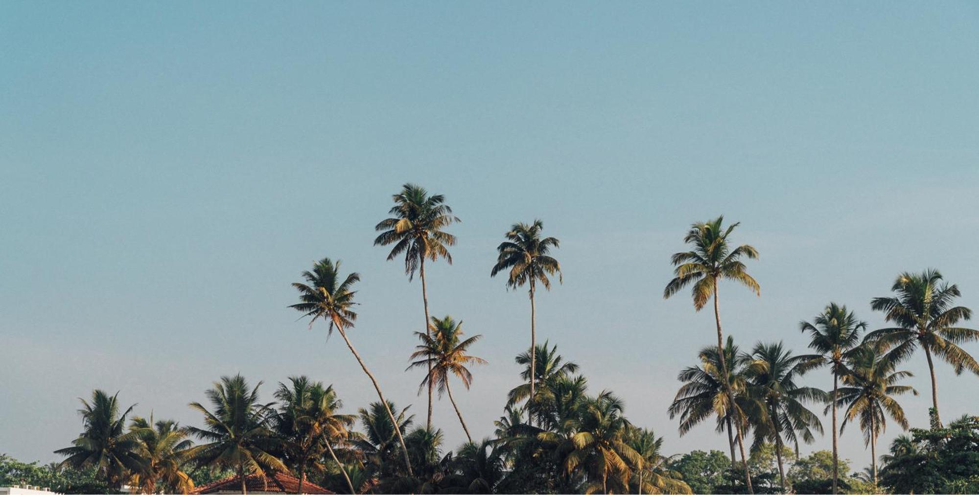 Lucky'S Surf Camp Bed & Breakfast Weligama Luaran gambar
