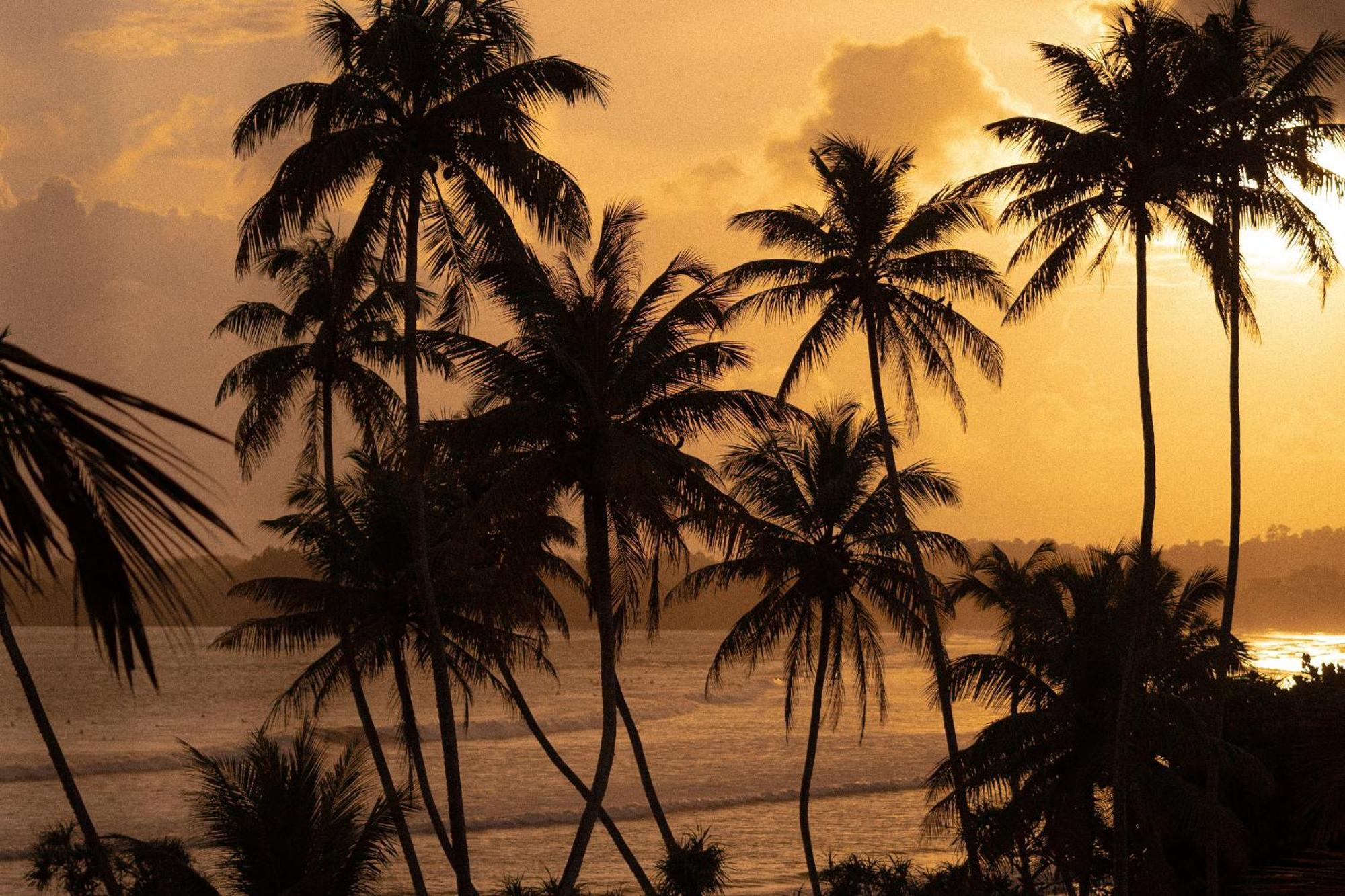 Lucky'S Surf Camp Bed & Breakfast Weligama Luaran gambar